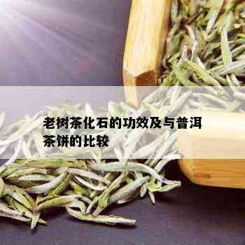 老树茶化石的功效及与普洱茶饼的比较