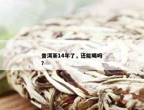 普洱茶14年了，还能喝吗？