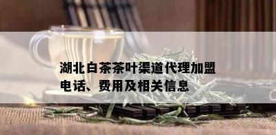 湖北白茶茶叶渠道代理加盟电话、费用及相关信息