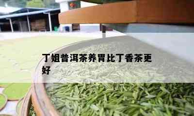 丁姐普洱茶养胃比丁香茶更好