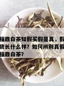 福鼎白茶知假买假是真，假货长什么样？如何辨别真假福鼎白茶？