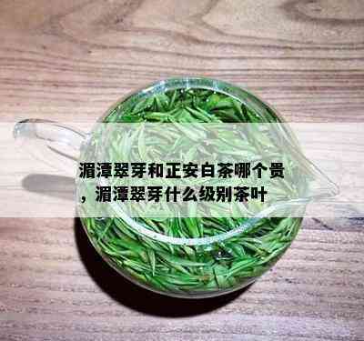 湄潭翠芽和正安白茶哪个贵，湄潭翠芽什么级别茶叶