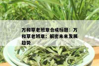 万和草老班章合成标题：万和草老班章：解密未来发展趋势