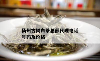 扬州古树白茶总部代理电话号码及价格