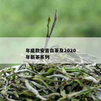 年底款安吉白茶及2020年新茶系列