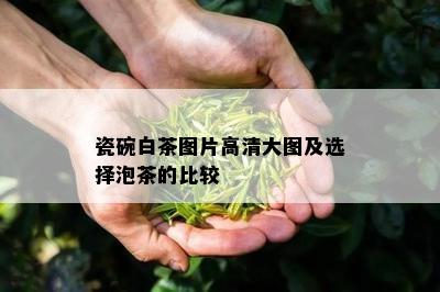 瓷碗白茶图片高清大图及选择泡茶的比较