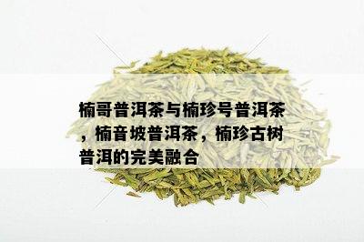 楠哥普洱茶与楠珍号普洱茶，楠音坡普洱茶，楠珍古树普洱的完美融合