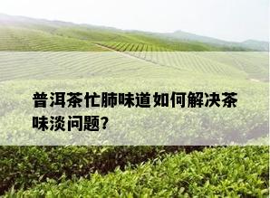 普洱茶忙肺味道如何解决茶味淡问题？