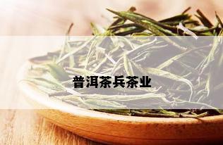 普洱茶兵茶业