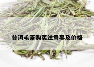 普洱毛茶购买注意事及价格