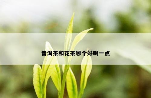 普洱茶和花茶哪个好喝一点