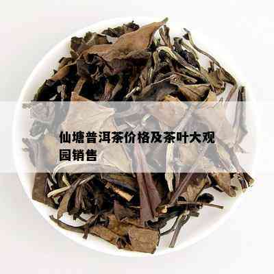 仙塘普洱茶价格及茶叶大观园销售