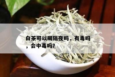 白茶可以喝隔夜吗，有吗，会中吗？