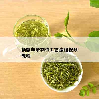 福鼎白茶制作工艺流程视频教程