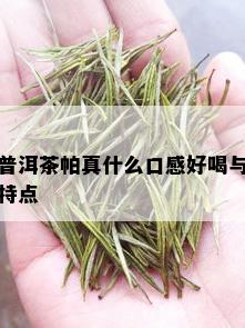 普洱茶帕真什么口感好喝与特点