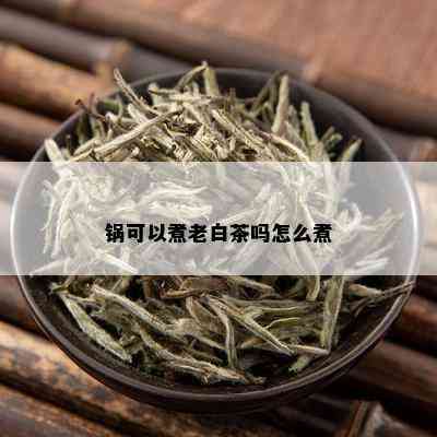 锅可以煮老白茶吗怎么煮