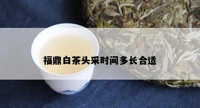 福鼎白茶头采时间多长合适