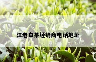 江老白茶经销商电话地址