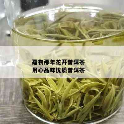 嘉物那年花开普洱茶 - 用心品味优质普洱茶