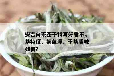 安吉白茶茶干特写好看不，茶特征、茶色泽、干茶香味如何？