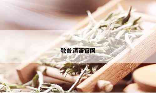 敬普洱茶官网