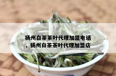 扬州白茶茶叶代理加盟电话，扬州白茶茶叶代理加盟店