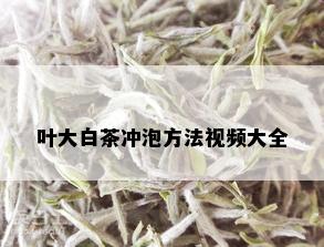 叶大白茶冲泡方法视频大全