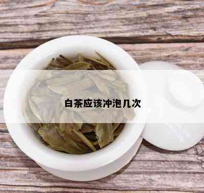 白茶应该冲泡几次