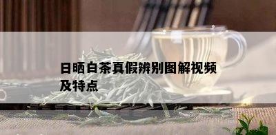 日晒白茶真假辨别图解视频及特点