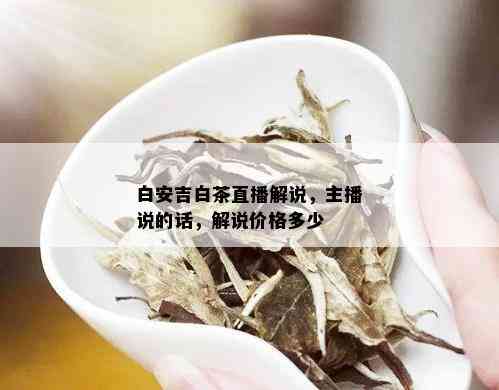 白安吉白茶直播解说，主播说的话，解说价格多少