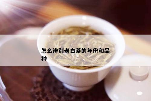 怎么辨别老白茶的年份和品种