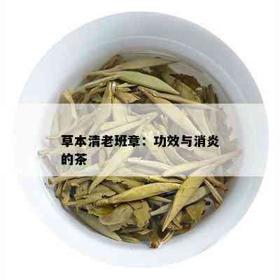 草本清老班章：功效与消炎的茶