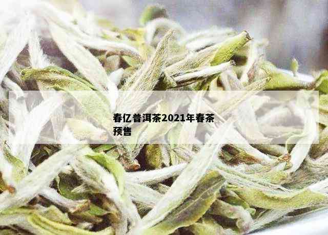 春亿普洱茶2021年春茶预售