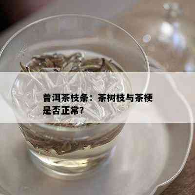 普洱茶枝条：茶树枝与茶梗是否正常？