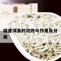 绥普洱茶的功效与作用及分类