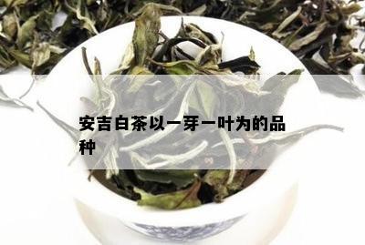 安吉白茶以一芽一叶为的品种