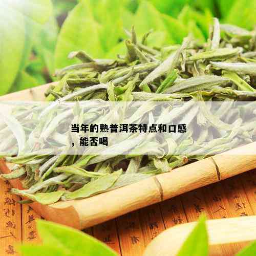 当年的熟普洱茶特点和口感，能否喝