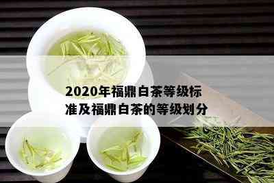 2020年福鼎白茶等级标准及福鼎白茶的等级划分