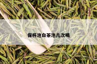 保杯泡白茶泡几次喝