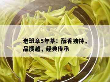 老班章5年茶：醇香独特，品质越，经典传承