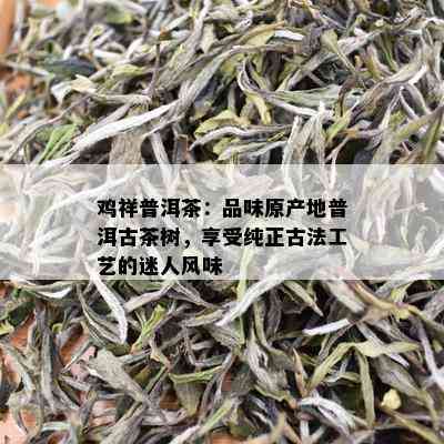 鸡祥普洱茶：品味原产地普洱古茶树，享受纯正古法工艺的迷人风味