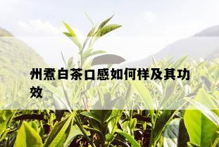 州煮白茶口感如何样及其功效