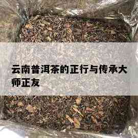 云南普洱茶的正行与传承大师正友