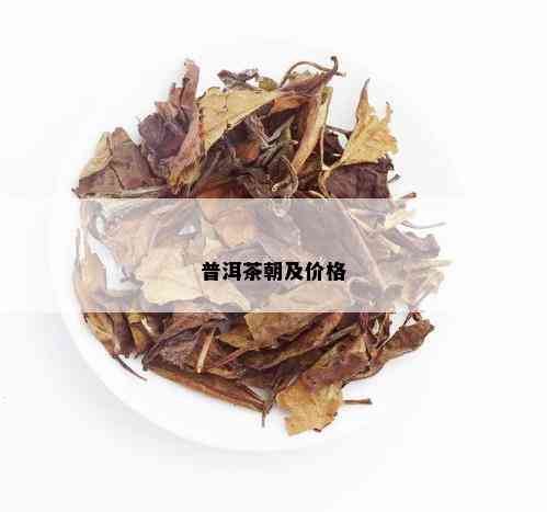 普洱茶朝及价格