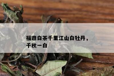 福鼎白茶千里江山白牡丹，千秋一白