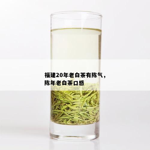 福建20年老白茶有陈气，陈年老白茶口感