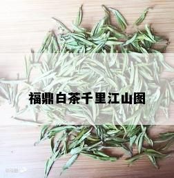 福鼎白茶千里江山图