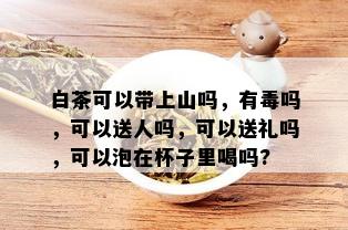 白茶可以带上山吗，有吗，可以送人吗，可以送礼吗，可以泡在杯子里喝吗?