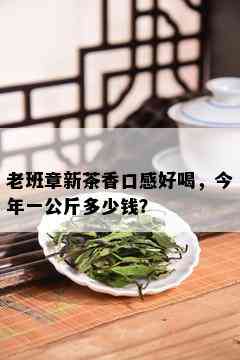 老班章新茶香口感好喝，今年一公斤多少钱？