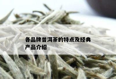 各品牌普洱茶的特点及经典产品介绍